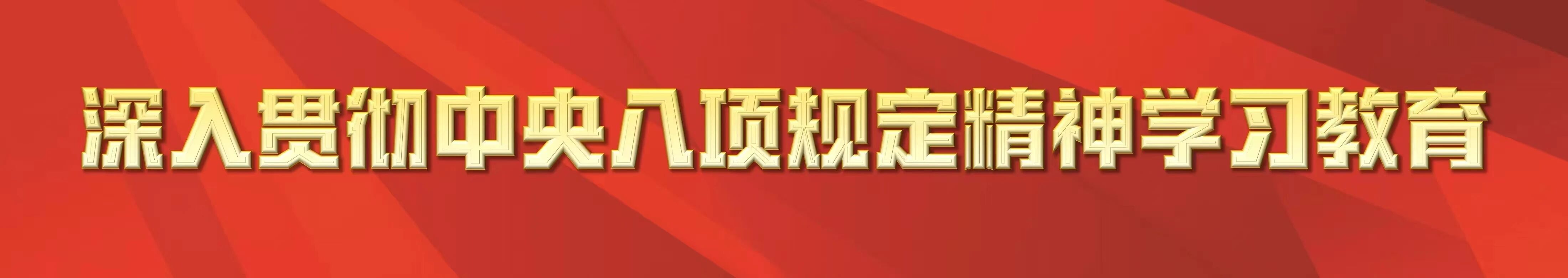 集团召开深入贯彻中央八项规定精神学习教育总结会